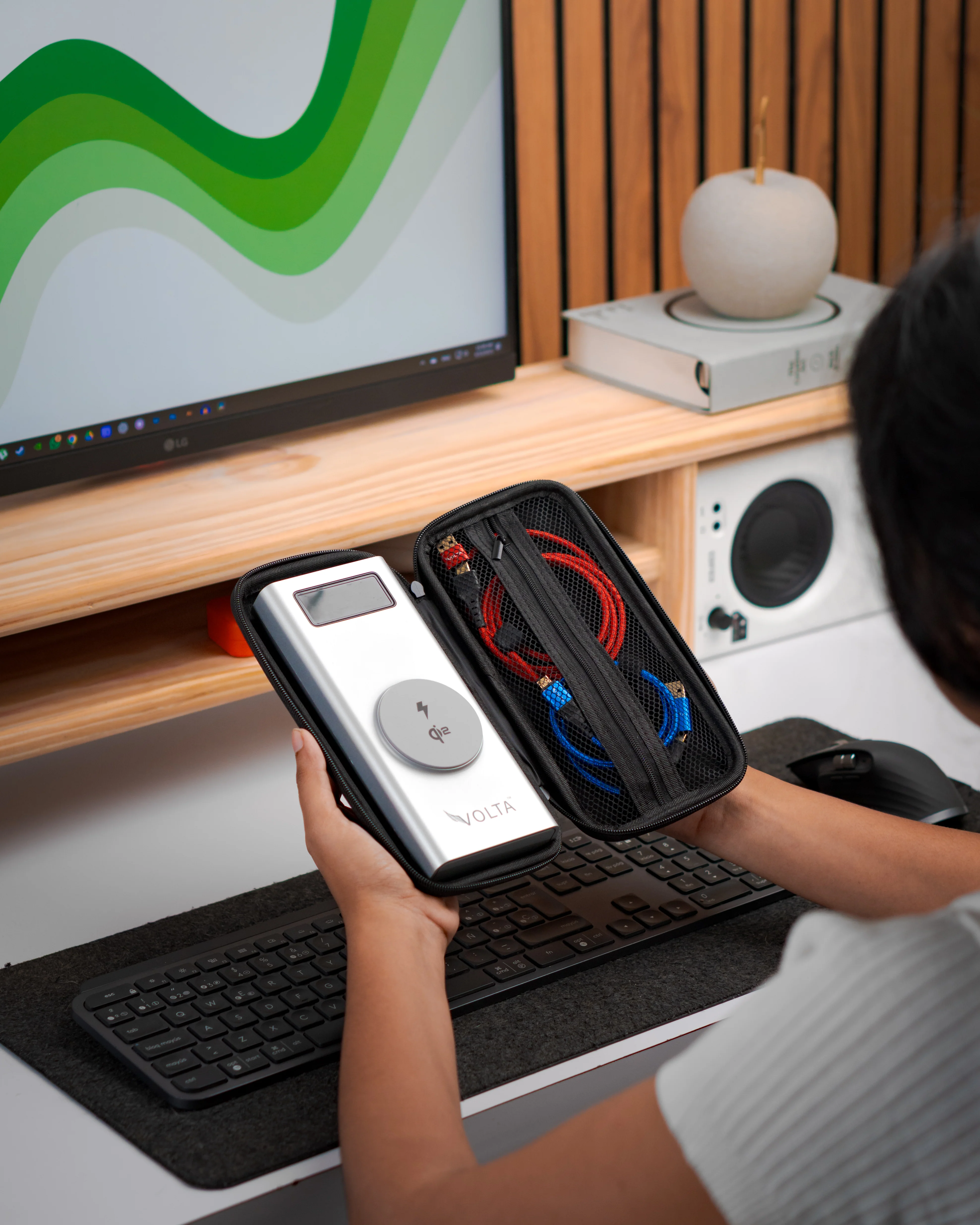 Volta Carry Case - Image 3